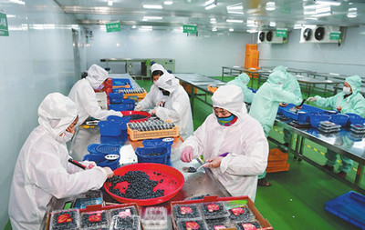 玉溪市人民政府推动食品互联网销售发展策略与成效